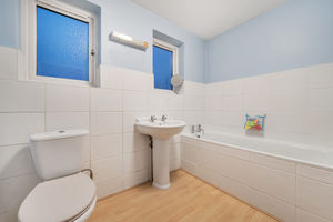 Photo 11- click for photo gallery